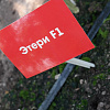Screenshot_26.jpg