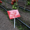 Screenshot_19.jpg