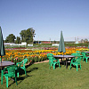 IMG_8382.JPG