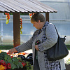 IMG_8528.JPG