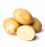 Картофель "Лина", фракция 45 мм и более