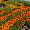 Screenshot_21.jpg